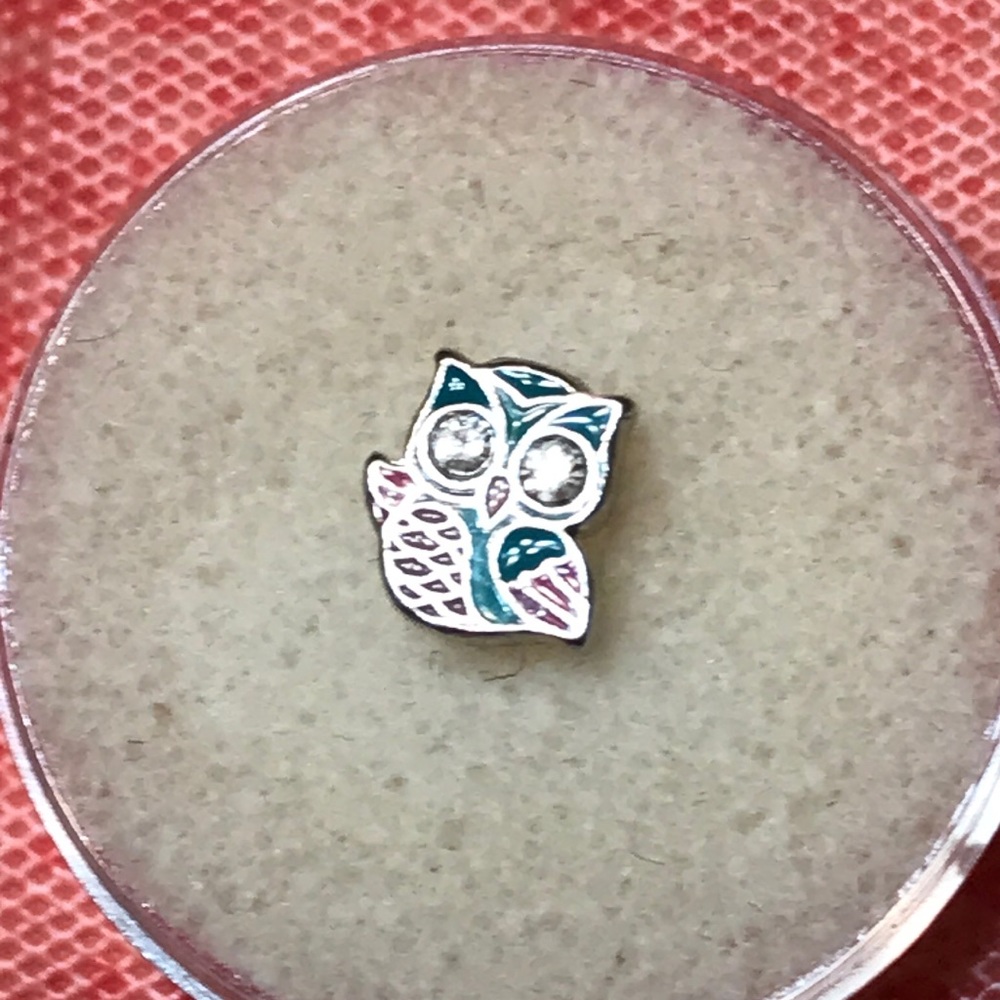 3/$10 Origami Owl Rhinestone Owl Charm